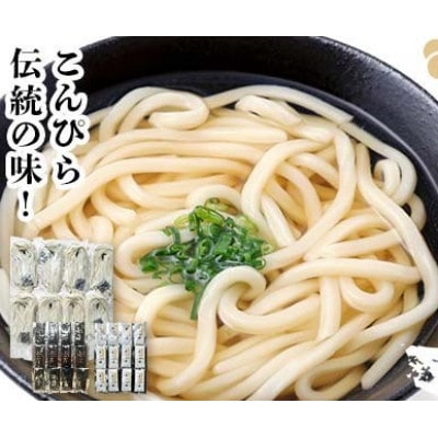 うどん 24人前×1箱【かけとぶっかけ24人前】 F5J-1211