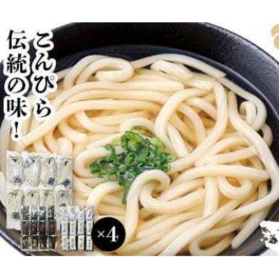 うどん 24人前×4箱【かけとぶっかけ96人前】F5J-1214