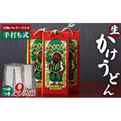 天狗パッケージ入り 3人前×3箱【かけうどん9人前】F5J-966