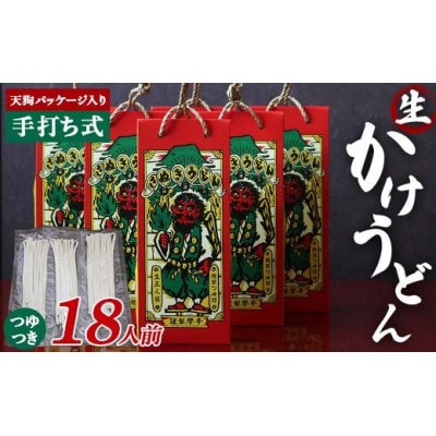 天狗パッケージ入り 3人前×6箱【かけうどん18人前】F5J-967