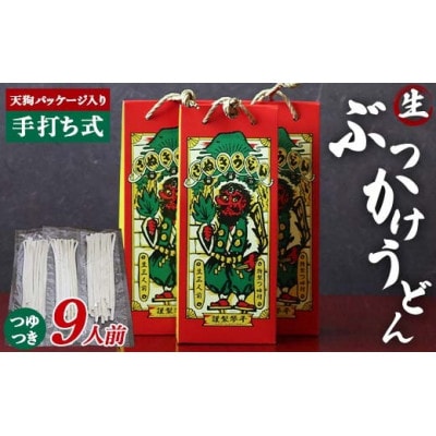 天狗パッケージ入り 3人前×3箱【ぶっかけうどん9人前】F5J-969