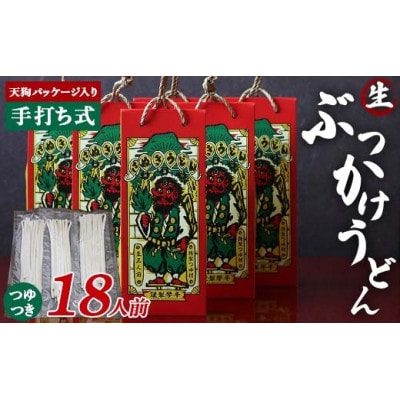 天狗パッケージ入り 3人前×6箱【ぶっかけうどん18人前】F5J-970