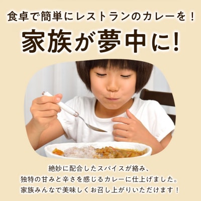 今井ファームビーフカレー 中辛 200g×10食 淡路島の牛肉とたまねぎ使用　ai01839