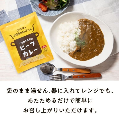 今井ファームビーフカレー 中辛 200g×10食 淡路島の牛肉とたまねぎ使用　ai01839