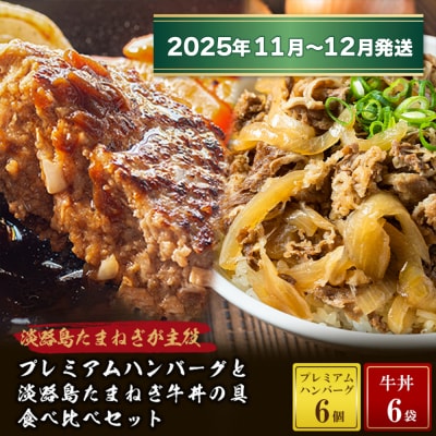 プレミアムハンバーグとたまねぎ牛丼 食べ比べセット【2025年11月～12月発送】　ai01114