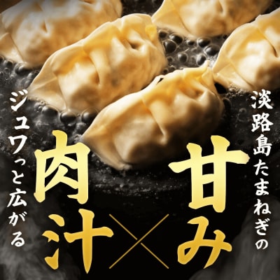 淡路島たまねぎたっぷりジューシー餃子 100個(20g×20個×5PC)　ai01746