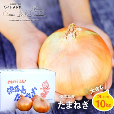 淡路島たまねぎ 大きな2Lサイズ10kg　ak04033