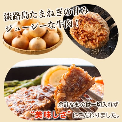 【定期便12ヶ月】淡路島たまねぎプレミアムハンバーグ　10個×12ヶ月　ai01735