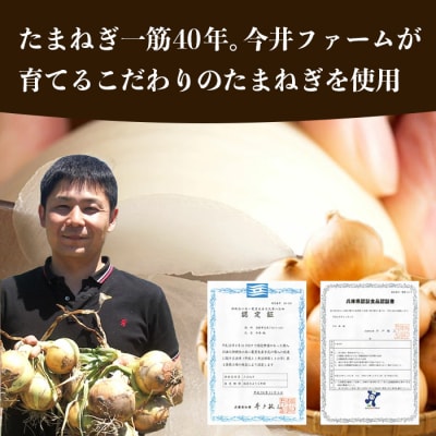 【定期便12ヶ月】淡路島たまねぎプレミアムハンバーグ　10個×12ヶ月　ai01735