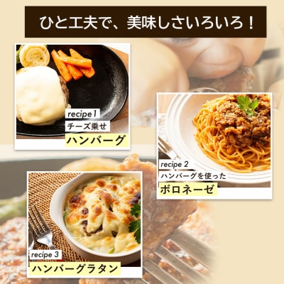 【定期便12ヶ月】淡路島たまねぎプレミアムハンバーグ　10個×12ヶ月　ai01735