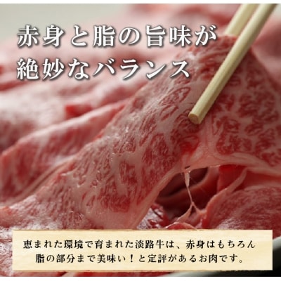 淡路牛あじわいセット(サーロインステーキ・ロースすき焼き用)合計 約700g　am02001