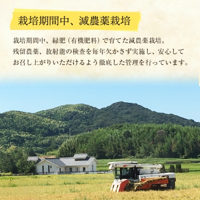 野添農園のコシヒカリ5kg「ひょうご安心ブランド」　as03807