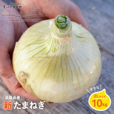 【新たまねぎ】淡路島たまねぎ大きな2Lサイズ10kg【発送時期3月下旬～5月頃】　ak04028