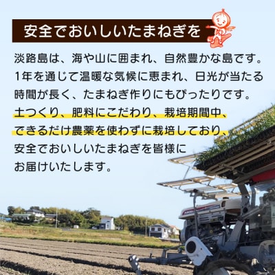 【新たまねぎ】淡路島たまねぎ大きな2Lサイズ10kg【発送時期3月下旬～5月頃】　ak04057