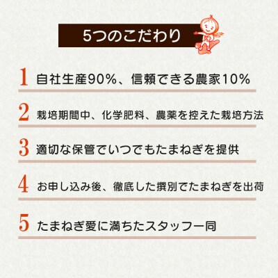 【新たまねぎ】淡路島たまねぎ大きな2Lサイズ10kg【発送時期3月下旬～5月頃】　ak04057
