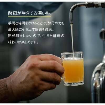 あわぢびーる6本セット | お礼品詳細 | ふるさと納税なら「さとふる」