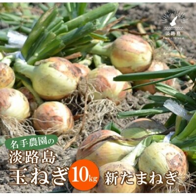 【新たまねぎ】名手農園の淡路島特産玉ねぎ10kg【発送時期2025年3月～5月頃】　an03707