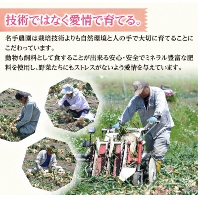 【新たまねぎ】名手農園の淡路島特産玉ねぎ10kg【発送時期2025年3月～5月頃】　an03707