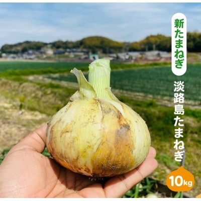 【新たまねぎ】淡路島たまねぎ(10キロ)【発送時期5月頃】　aa28009