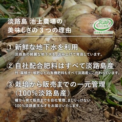 淡路島 池上農場の完熟たまねぎ「あやたけ」10kg