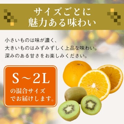 片山農園の淡路島のはっさく2.5kgとキウイ2.0kg【サイズ色々S～2Lサイズ】　ak03805
