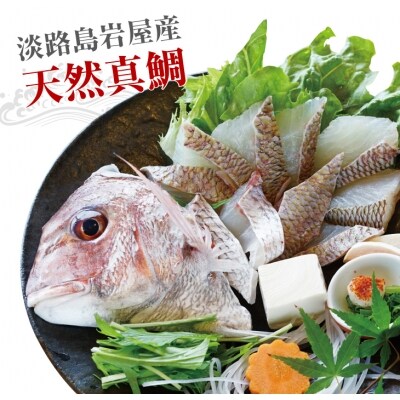 淡路島岩屋産天然岩屋鯛しゃぶしゃぶセット(約3人前)【お届け日指定返礼品】　ag02002