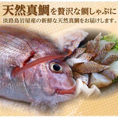 淡路島岩屋産天然岩屋鯛しゃぶしゃぶセット(約3人前)【お届け日指定返礼品】　ag02002