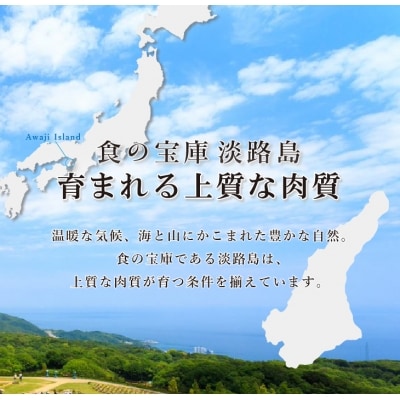 淡路牛ヒレステーキ(2枚)合計 約200g　am02803