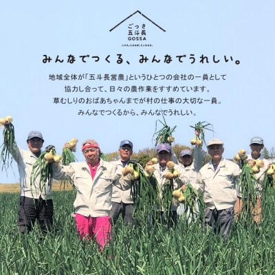 五斗長たまねぎ 5kg