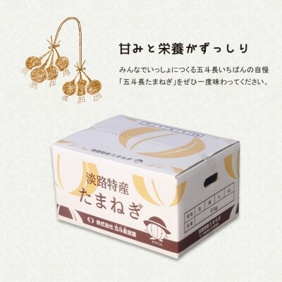 五斗長たまねぎ 5kg