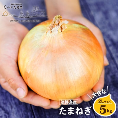 淡路島たまねぎ 大きな2Lサイズ 5kg　ak04032