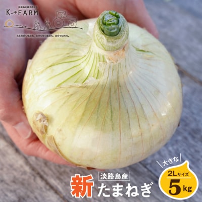 【新たまねぎ】淡路島たまねぎ 大きな2Lサイズ5kg【発送時期3月下旬～5月頃】　ak04056