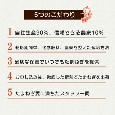 【新たまねぎ】淡路島たまねぎ 大きな2Lサイズ5kg【発送時期3月下旬～5月頃】　ak04056