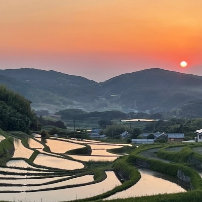 【定期便】淡路島の棚田米 5kg×12回(毎月発送)　ae01067