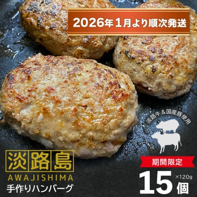 【数量限定】淡路島手作りハンバーグ15個【2026年1月より順次発送】　an07049