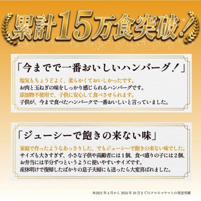 【数量限定】淡路島手作りハンバーグ15個　an07813