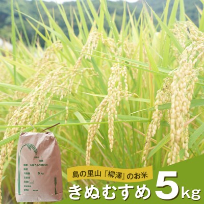 島の里山『柳澤』のお米 きぬむすめ 5kg