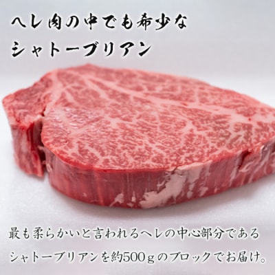 淡路牛シャトーブリアン ブロック 500g　ah14029