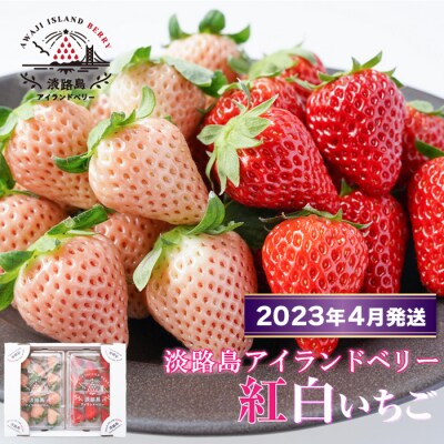 淡路島アイランドベリー　紅白いちご　淡雪/紅ほっぺ【2023年4月発送先行受付】 | ふるさと納税のお礼品