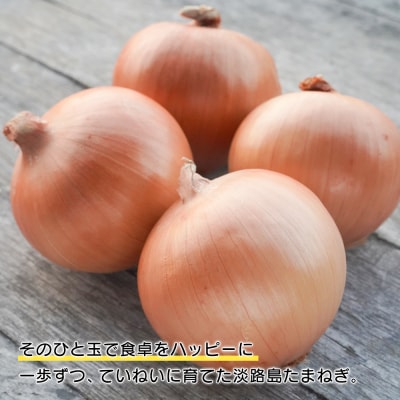 淡路島たまねぎ 歩-AYUMU- 5kg　ak04035
