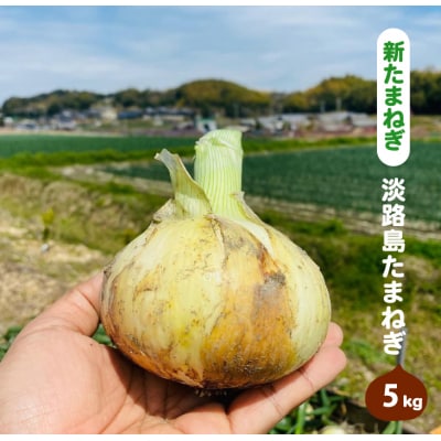【新たまねぎ】淡路島たまねぎ(5キロ)【発送時期:5月頃】　aa28012