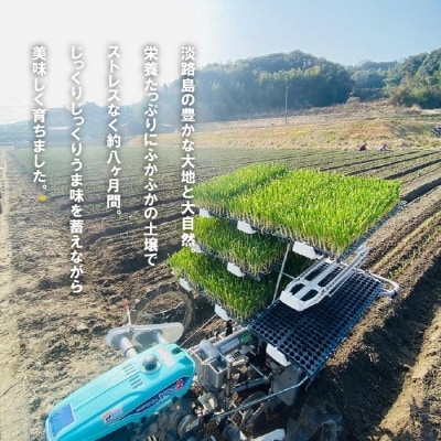 【新たまねぎ】淡路島たまねぎ(5キロ)【発送時期:5月頃】　aa28012