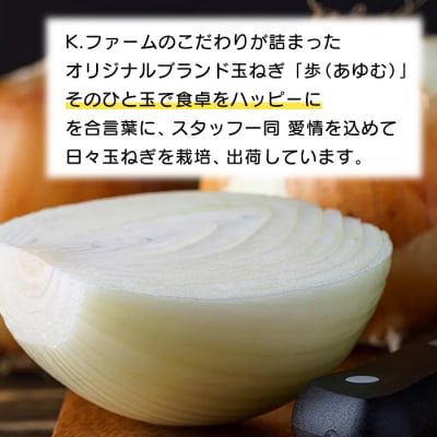 【新たまねぎ】淡路島たまねぎ 歩-AYUMU- 10kg【発送時期3月～6月上旬頃】　ak04816