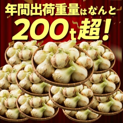 【新たまねぎ】今井ファームの淡路島たまねぎ「かくし玉」5kg【4月下旬～5月頃発送】　ai01124