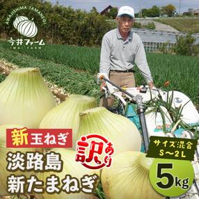 【新たまねぎ】【訳アリ品】今井ファームの淡路島たまねぎ 5kg【サイズ混合S～2L】