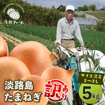 【訳アリ品】今井ファームの淡路島たまねぎ 5kg【サイズ混合S～2L】　ai01102