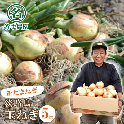 【新たまねぎ】名手農園の淡路島特産玉ねぎ 5kg　an03028