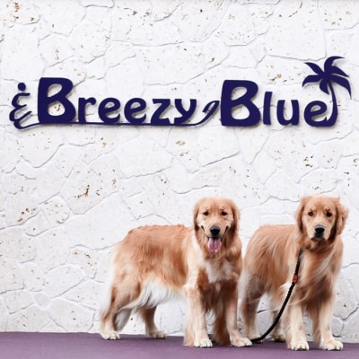 貸別荘BreezyBlue淡路島 ご利用券【10月～3月宿泊限定】10,000円分　ab05004