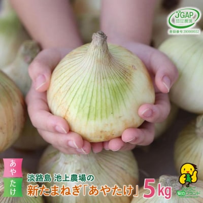 【新たまねぎ】淡路島 池上農場の「あやたけ」5kg【発送時期3月下旬~5月頃】 ai03810