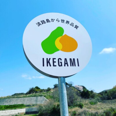 【新たまねぎ】淡路島　池上農場の「あやたけ」5kg【発送時期3月下旬～5月頃】　ai03810